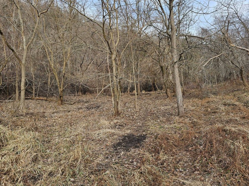This beautiful 38 acres offers great seclusion, privacy and - photo 6