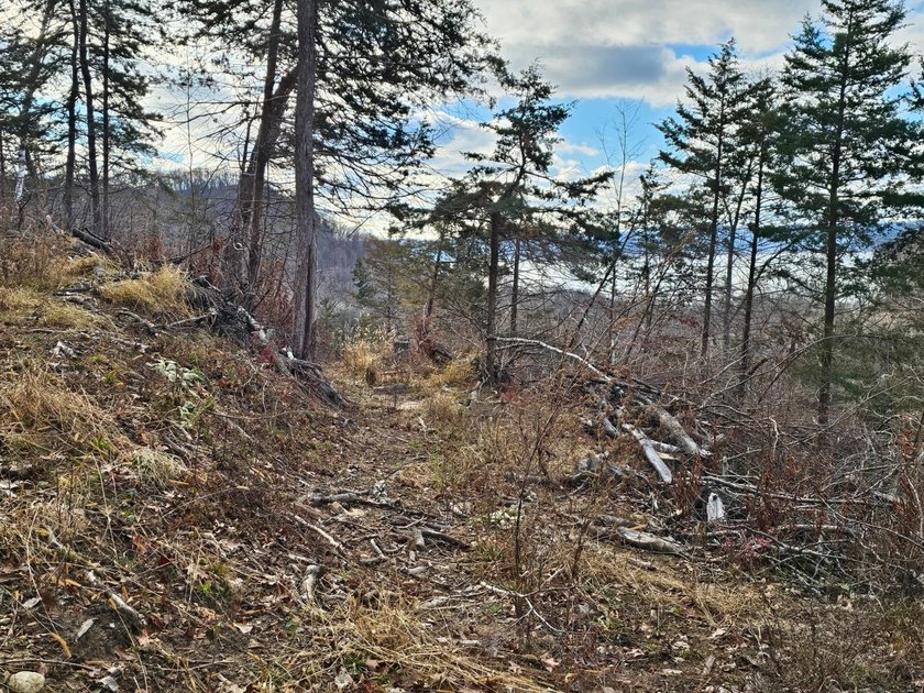 This beautiful 38 acres offers great seclusion, privacy and - photo 7
