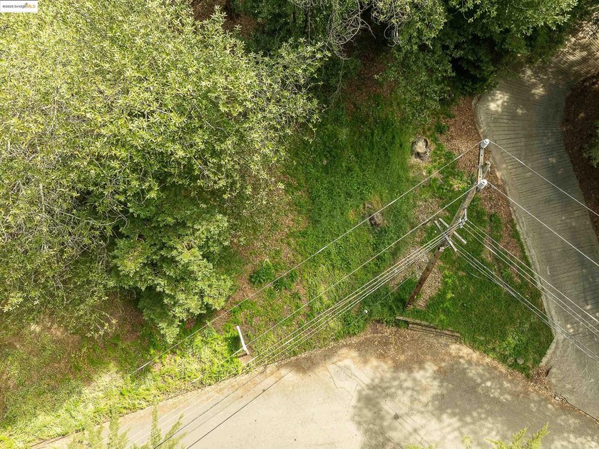 Gorgeous Lot in Montclair. Possible bay views depending on where - photo 3