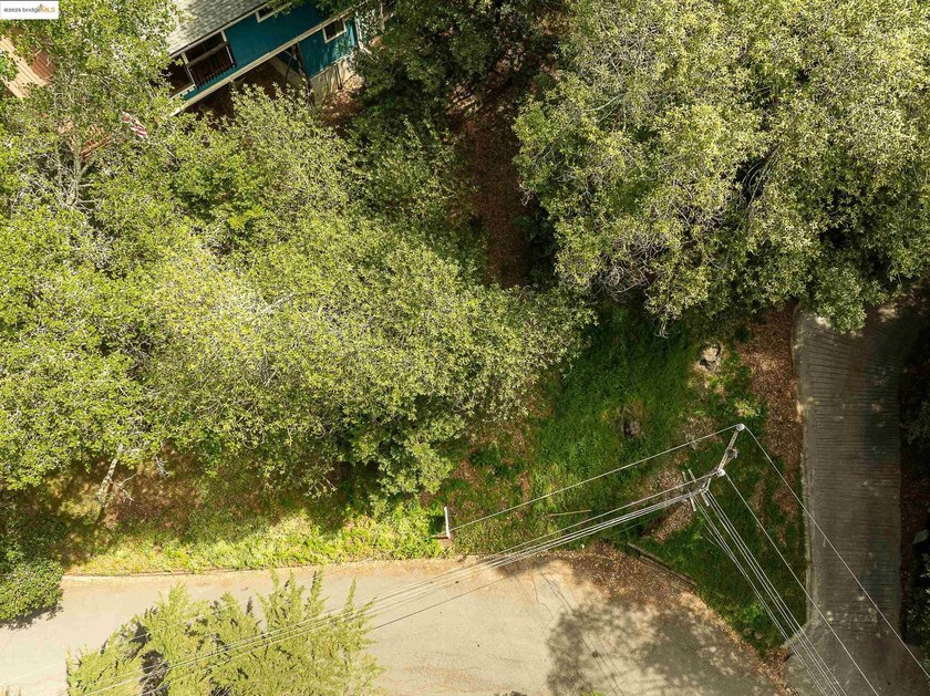 Gorgeous Lot in Montclair. Possible bay views depending on where - photo 4