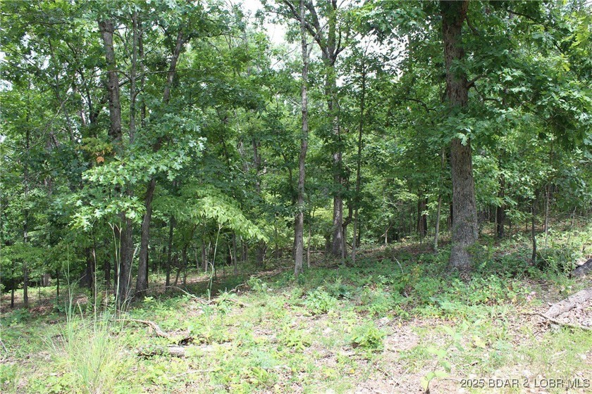 This spacious lot in the desirable Woodhaven Estates subdivision - photo 11