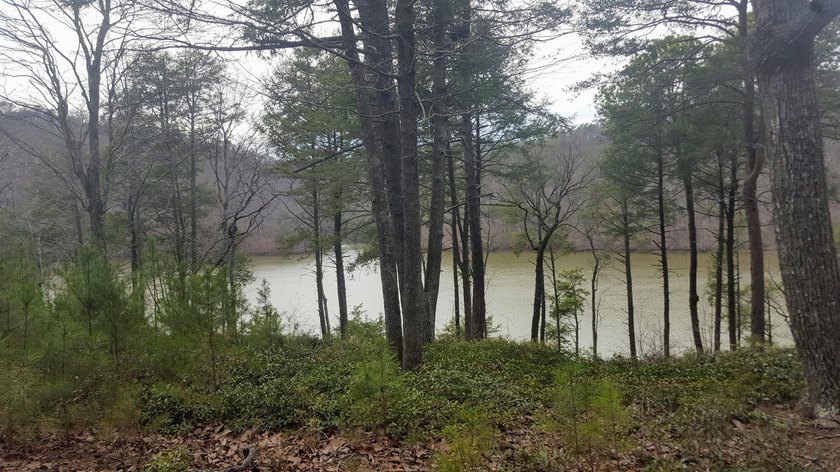 Beautiful view up and down the main channel from this wooded lot - photo 11