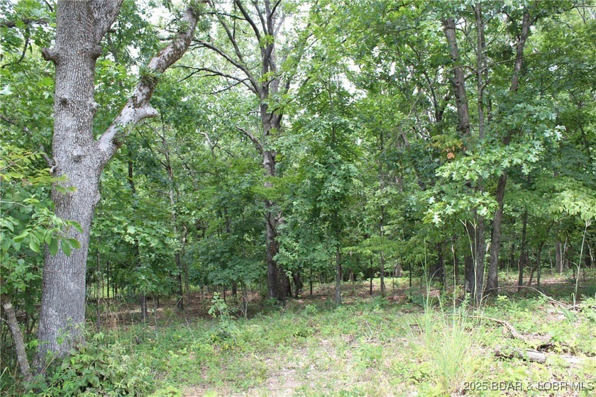 This spacious lot in the desirable Woodhaven Estates subdivision - photo 12