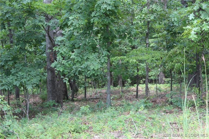 This spacious lot in the desirable Woodhaven Estates subdivision - photo 13