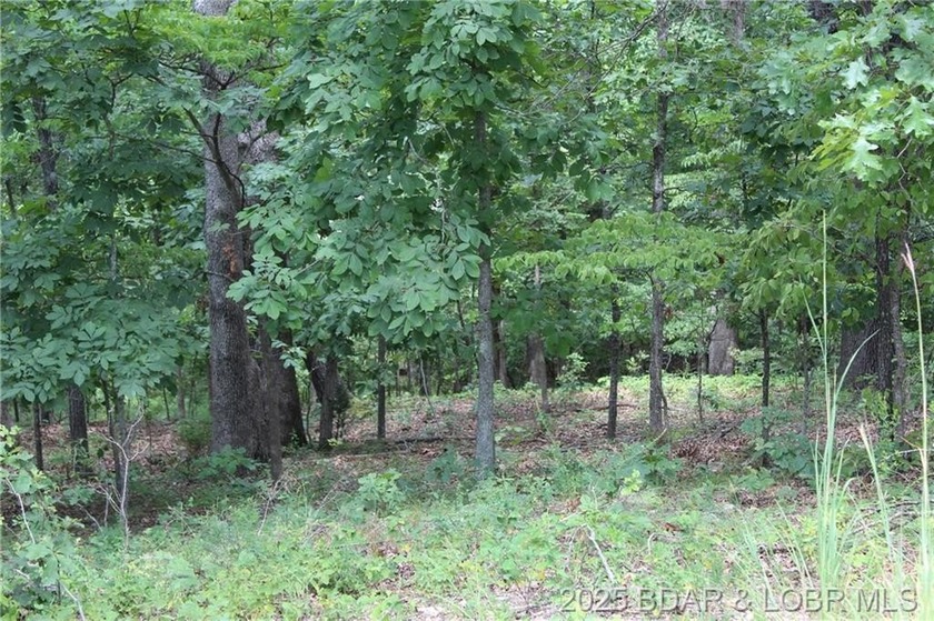 This spacious lot in the desirable Woodhaven Estates subdivision - photo 13