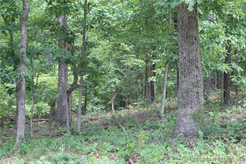 This spacious lot in the desirable Woodhaven Estates subdivision - photo 14