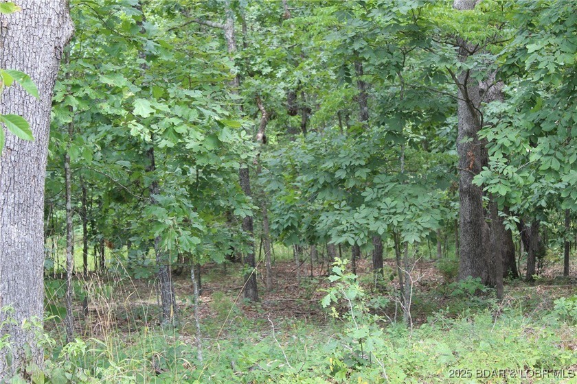 This spacious lot in the desirable Woodhaven Estates subdivision - photo 15