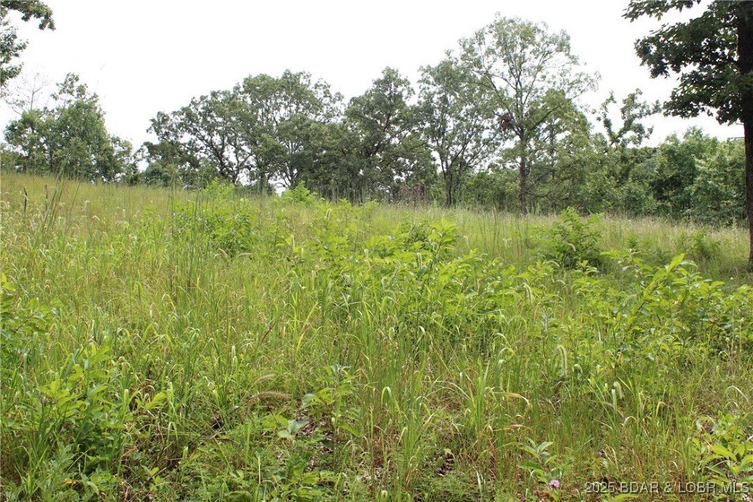 This spacious lot in the desirable Woodhaven Estates subdivision - photo 17