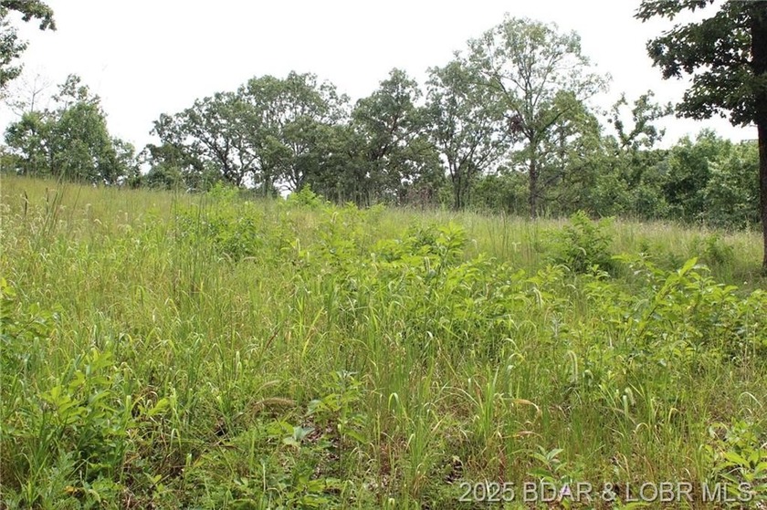 This spacious lot in the desirable Woodhaven Estates subdivision - photo 17