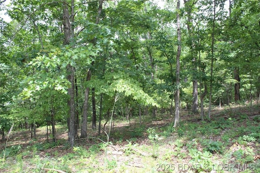 This spacious lot in the desirable Woodhaven Estates subdivision - photo 19