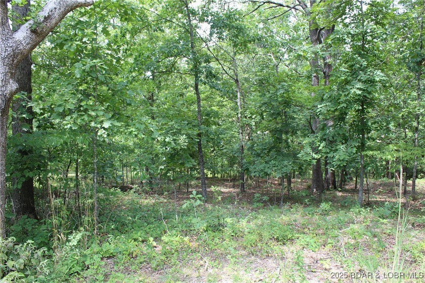 This spacious lot in the desirable Woodhaven Estates subdivision - photo 20