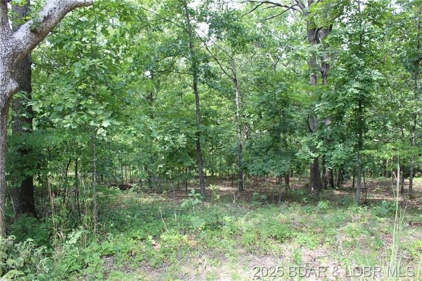 This spacious lot in the desirable Woodhaven Estates subdivision - photo 20