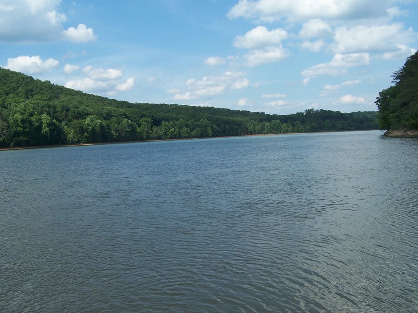 Beautiful view up and down the main channel from this wooded lot - photo 28