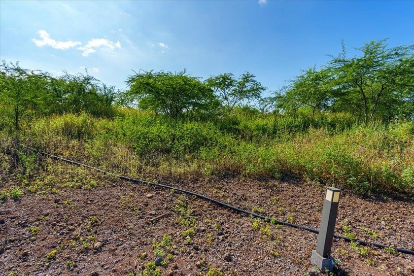 A rare and extraordinary opportunity in coveted Makena awaits - photo 18