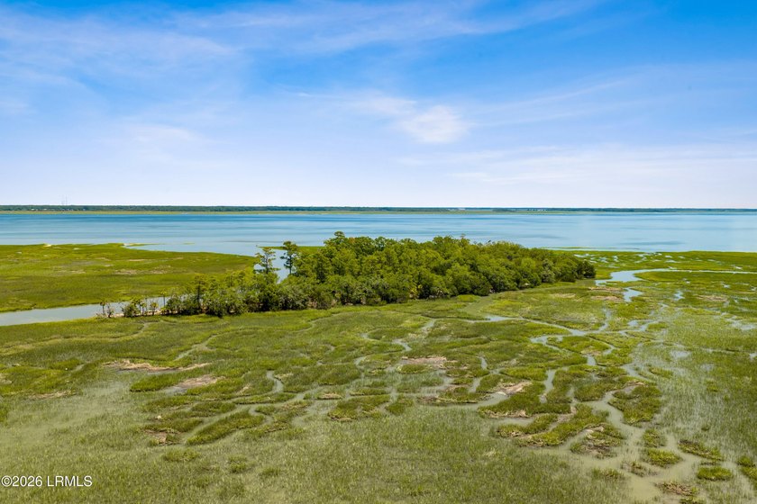 Discover an extraordinary 8-acre private island paradise, where - photo 8