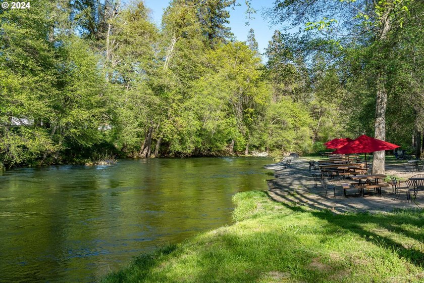 Welcome to Red Lily Vineyards, one of the most acclaimed - photo 6