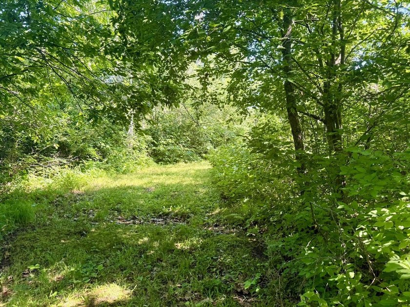 This exceptional property, situated east of Hinckley and south - photo 11