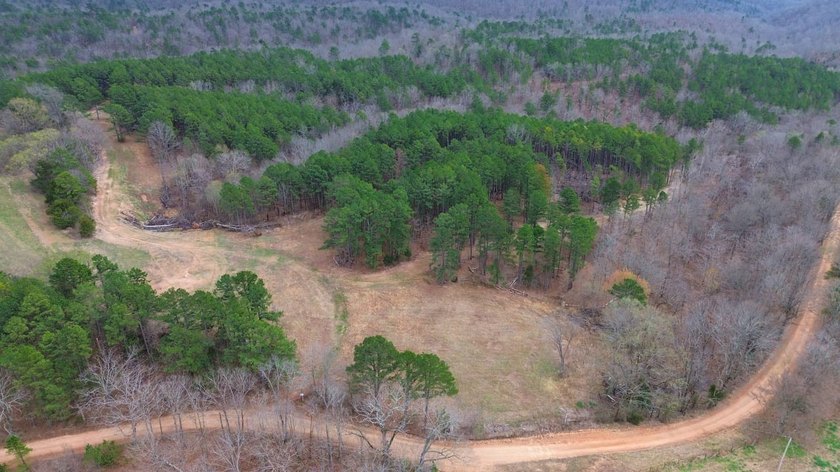 Hunting paradise with county road frontage! This incredible - photo 11