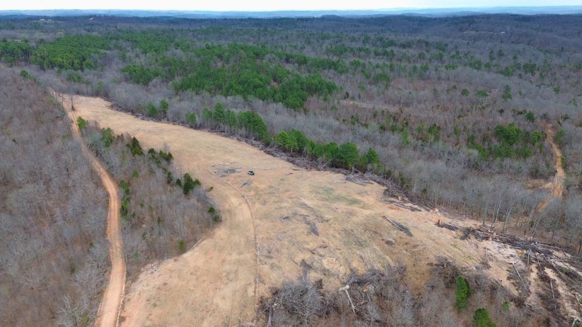 Hunting paradise with county road frontage! This incredible - photo 12