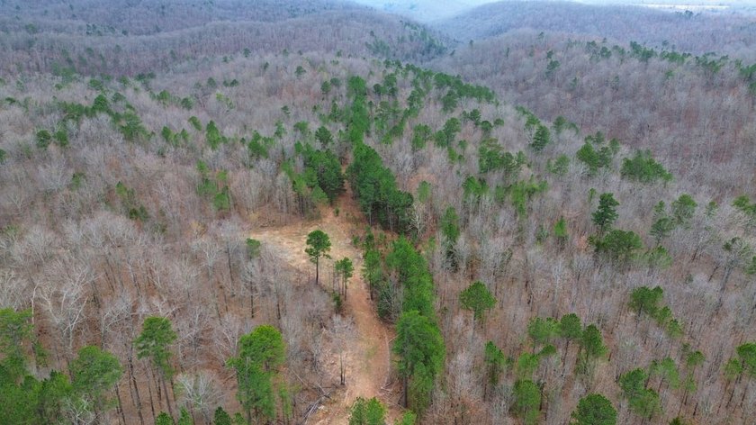 Hunting paradise with county road frontage! This incredible - photo 15