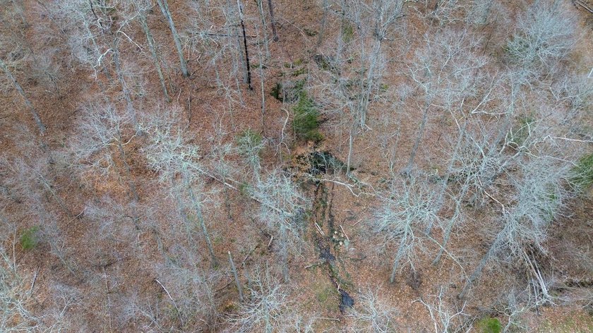 Hunting paradise with county road frontage! This incredible - photo 20