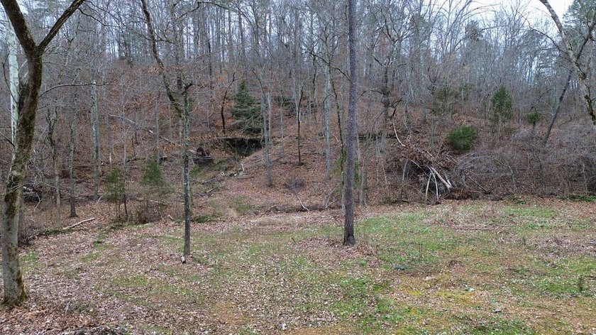Hunting paradise with county road frontage! This incredible - photo 23