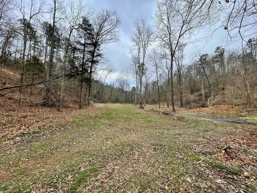 Hunting paradise with county road frontage! This incredible - photo 24