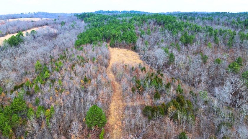 Hunting paradise with county road frontage! This incredible - photo 27