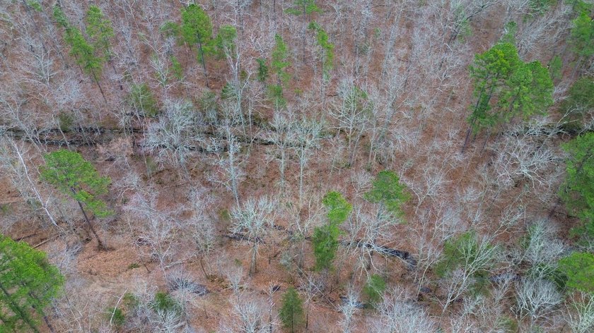 Hunting paradise with county road frontage! This incredible - photo 34