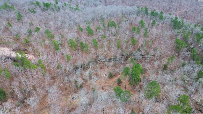 Hunting paradise with county road frontage! This incredible - photo 35