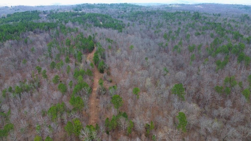 Hunting paradise with county road frontage! This incredible - photo 36