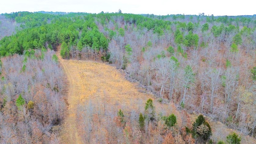 Hunting paradise with county road frontage! This incredible - photo 37