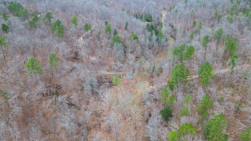Hunting paradise with county road frontage! This incredible - photo 38