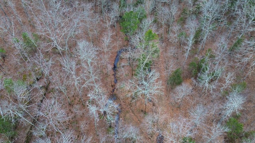 Hunting paradise with county road frontage! This incredible - photo 39