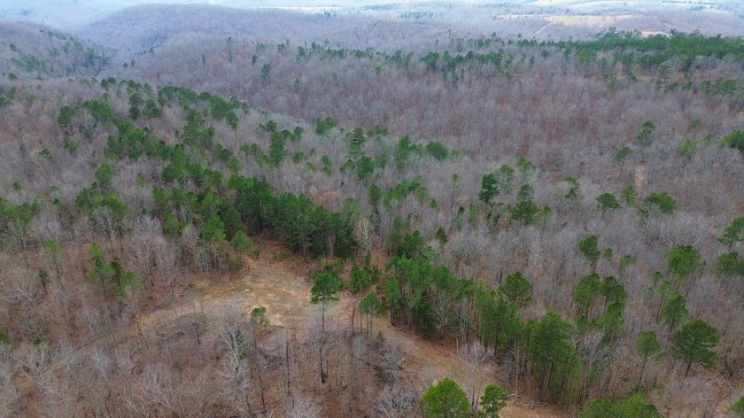 Hunting paradise with county road frontage! This incredible - photo 40