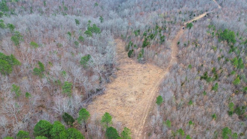 Hunting paradise with county road frontage! This incredible - photo 41