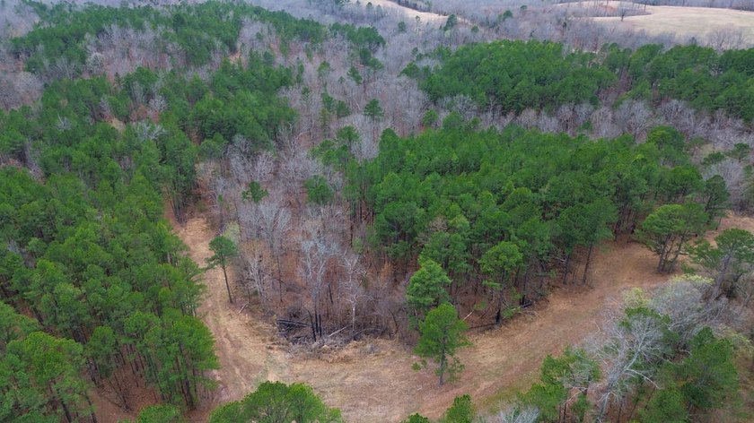 Hunting paradise with county road frontage! This incredible - photo 42