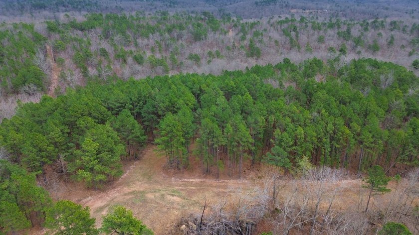 Hunting paradise with county road frontage! This incredible - photo 44