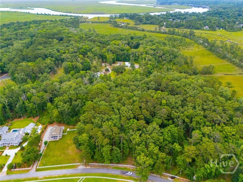 Nestled among majestic live oaks and the natural beauty that - photo 14