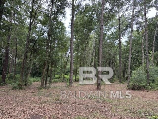 Set within a gated Foley enclave near Weeks Bay, this 2.54-acre - photo 8
