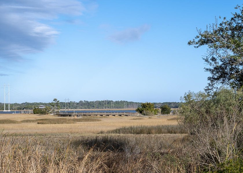 Welcome to 2409 Georgia Guard Drive, where timeless Lowcountry - photo 41