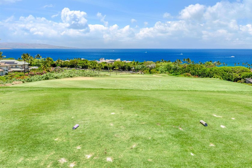 Welcome to one of Maui's best kept secrets. This exceptional Kai - photo 42