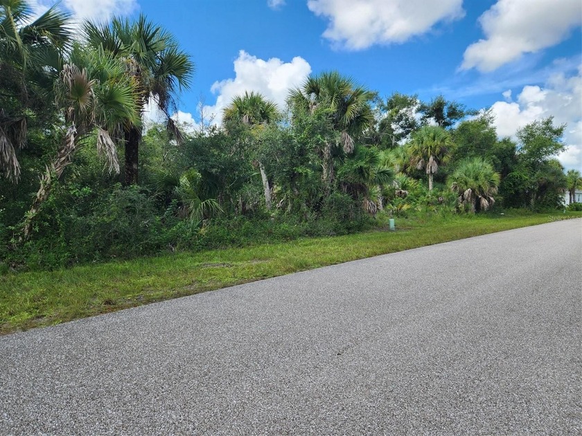 Awesome oversized residential lot. X Flood Zone, No HOA, No Deed - photo 3