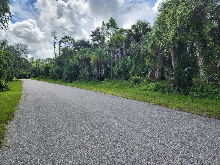 Awesome oversized residential lot. X Flood Zone, No HOA, No Deed - photo 4