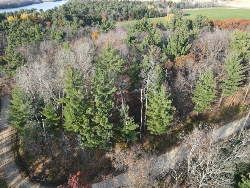 Set in the Majestic Woods development, this gorgeous heavily - photo 2