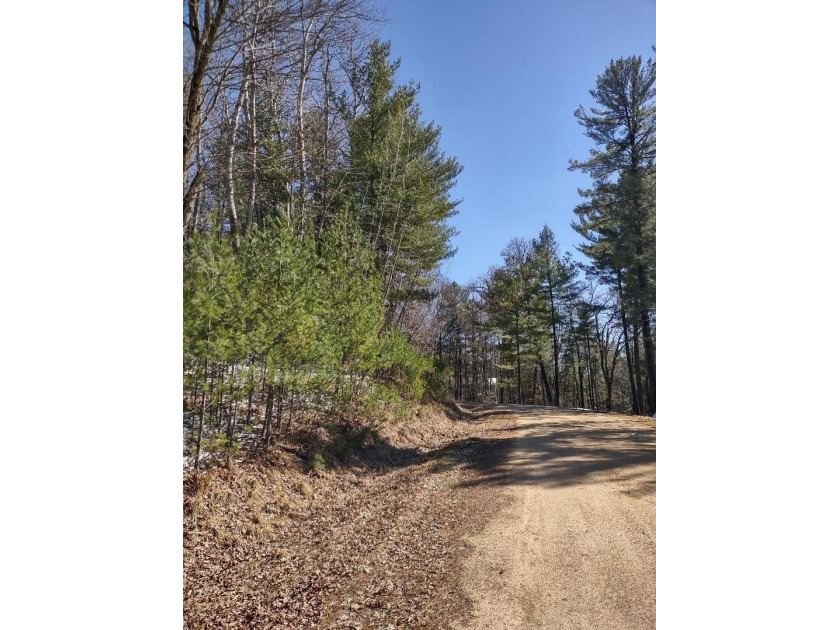 Set in the Majestic Woods development, this gorgeous heavily - photo 10