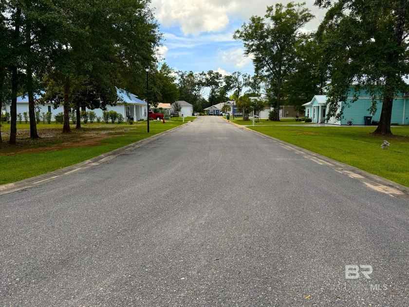Discover one of the few remaining homesites in Reunion Pointe - photo 5