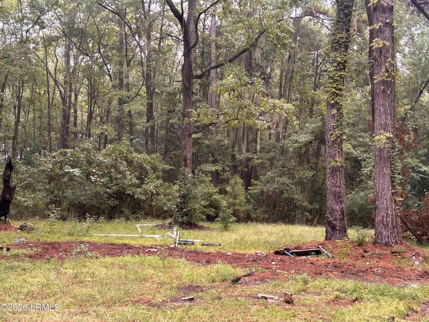 Partially cleared 1-acre lot ready for your vision! Whether - photo 2