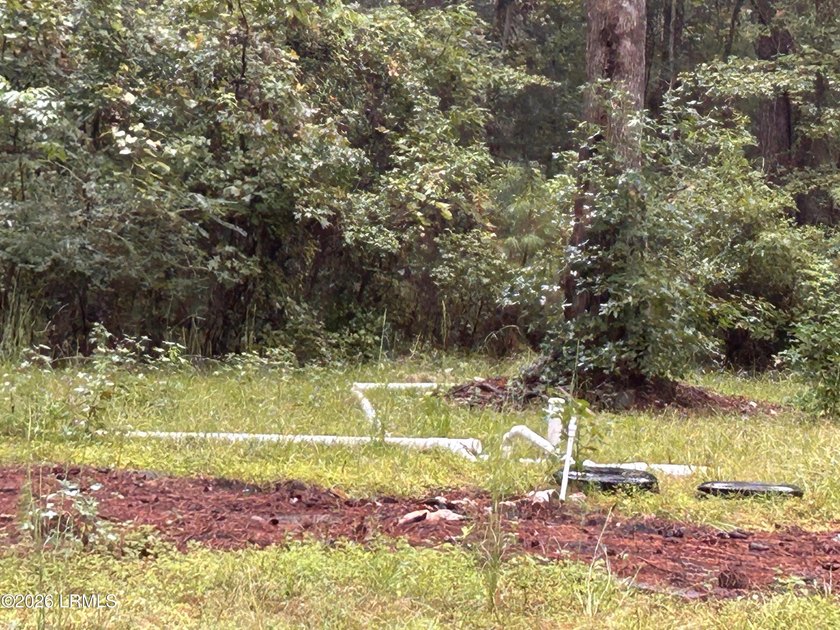 Partially cleared 1-acre lot ready for your vision! Whether - photo 4