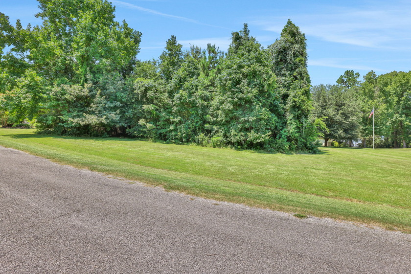 2 Acres Waterfront - photo 14